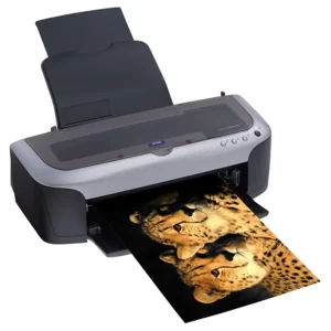 Epson Stylus Photo 2100 Side
