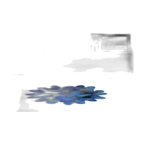 epson sc series p900 front